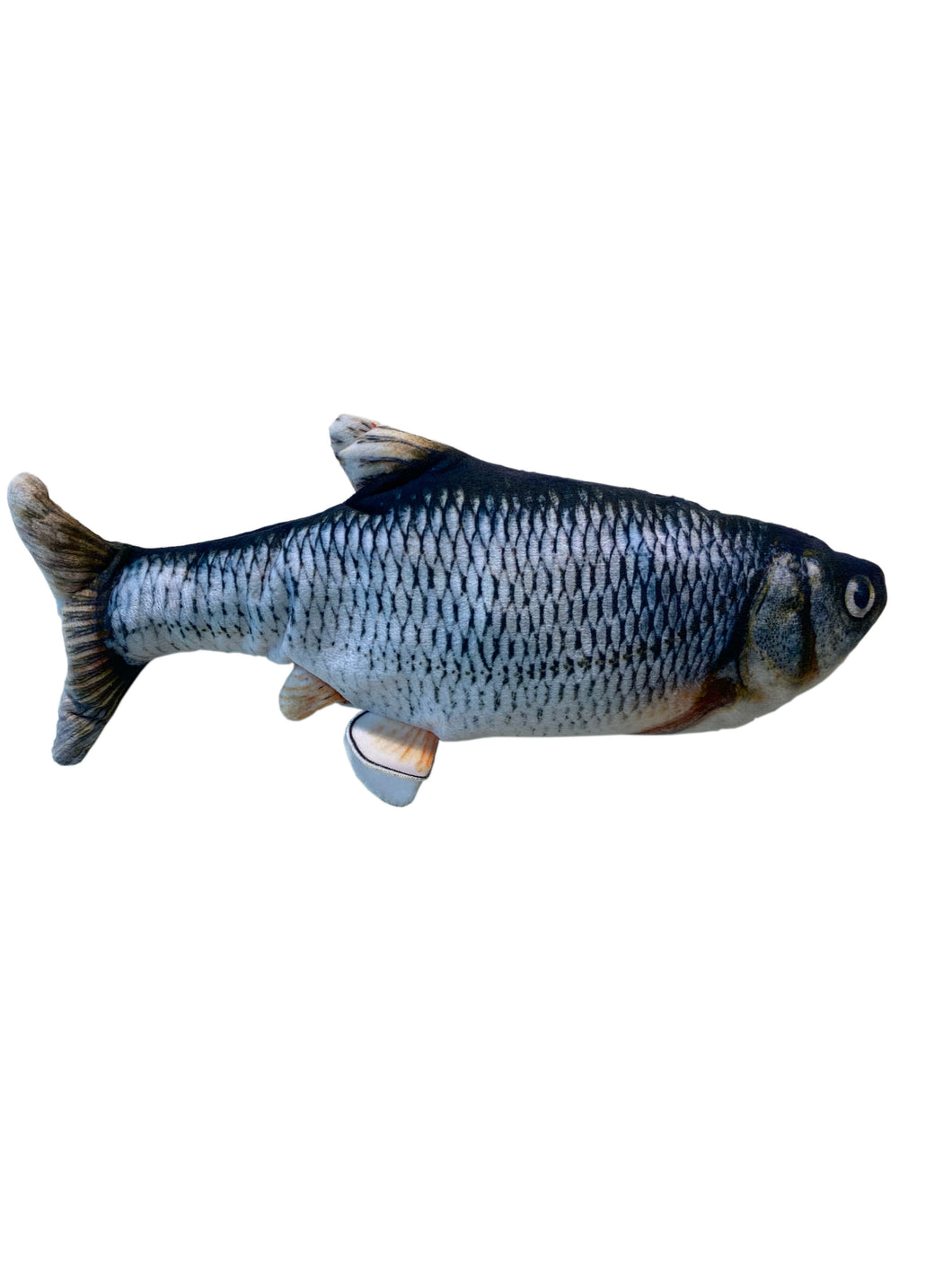 Fjör-fiskur