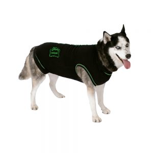 Medipaw Protective Suit L